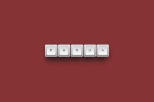 Panda text on a 3d keyboard button with shadow concept series photo