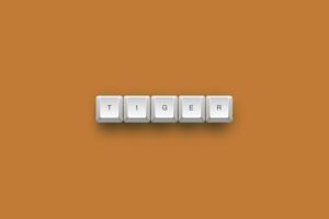 Tiger text on a 3d keyboard button with shadow concept series photo