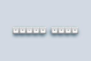 polar bear text on a 3d keyboard button with shadow concept series photo