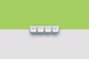Wild text on a 3d keyboard button with shadow concept series photo