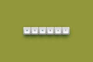 Wombat text on a 3d keyboard button with shadow concept series photo