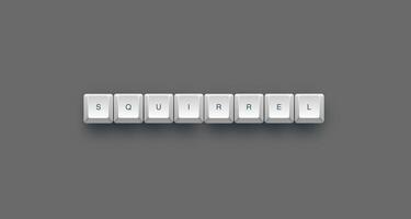 Squirrel text on a 3d keyboard button with shadow concept series photo