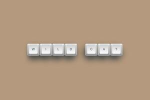 Wild text on a 3d keyboard button with shadow concept series photo