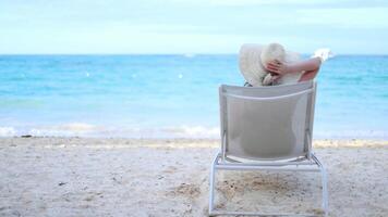 Relaxing beach day with ocean view and sun hat enjoyment near the shore video