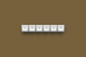 Longan text on a 3d keyboard button with shadow concept series photo