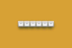 Potato text on a 3d keyboard button with shadow concept series photo