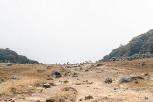 Photo of a trip to Mount Gede Pangrango, hiking adventure along the trails at the Surya Kencana square. National Park in West Java, Cianjur, 24 July 2023