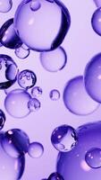 Floating transparent purple bubbles backgrounds, 3d rendering video