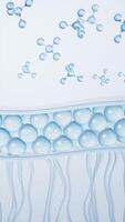 Skin cell background with cosmetics molecules, 3d rendering. video