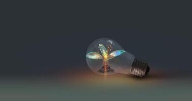Light bulb with a sapling on the ground and sunlight. In a clean energy concept. Sustainable energy. Saving in nature and renewable energy. photo