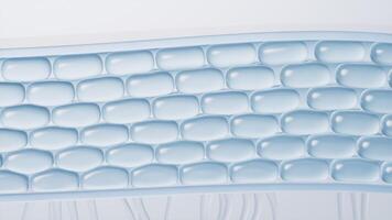 Skin cell background with cosmetics, 3d rendering video
