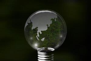 Bulb light with tree inside on black background. Saving energy and eco concept photo