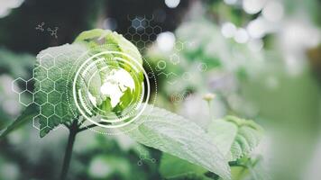 green leaf with world globe and green dots photo