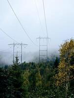 the power lines covered in fog over a forest on a rainy day in Norway photo