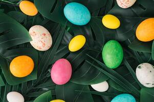 Easter nature background. Green tropical palm and monstera leaves with Easter eggs. Minimal spring abstract jungle or forest composition. Creative festive holiday layout. Flat lay style. photo