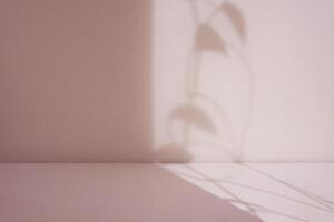 pink room with soft shadow photo