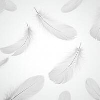 Floating white feathers isolated on white photo