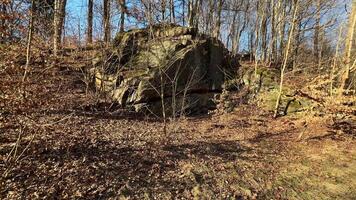 A Calm and Serene Rocky Landscape That is Embraced by Beautiful Surrounding Trees photo