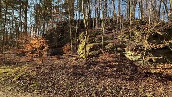Discover a Tranquil Forest Path adorned with beautiful Rock Outcroppings, perfect for exploration photo