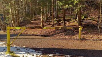 A Forest Barrier Surrounded by a Scenic Nature Setting Perfect for Exploration and Adventure photo