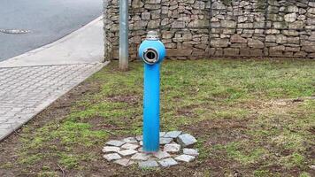 Publicly placed Blue Fire Hydrant located on a grassy area with a stone base for support photo