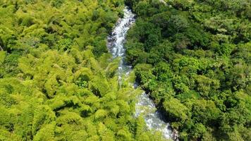 Aerial View of Beautiful River Flowing Through Jungle and Mountains, Serene Natural Landscape video