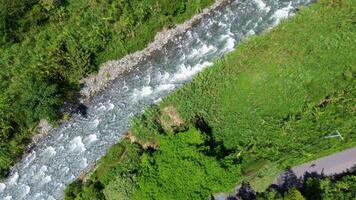 Aerial View of River Flowing Through Lush Jungle, Serene Rainforest Landscape video