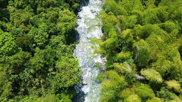 Aerial Drone Fly Slow Above Clear River Stream Flowing Through Lush Jungle in Pance Valley, Colombian Andes, Travel and Nature video