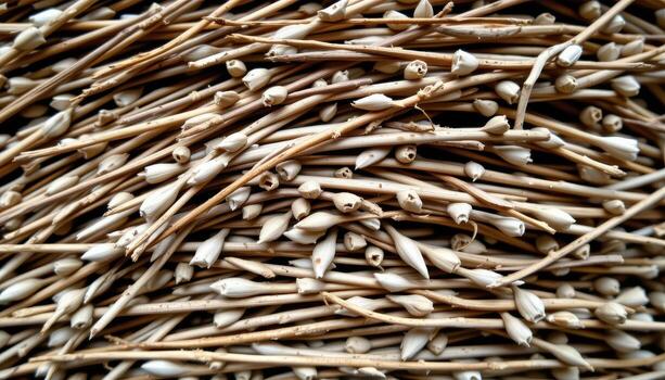 close up view of layers of dried grass tightly packed in a dense arrangement, showing varied textures and subtle hues. photo