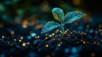 A sprout with illuminated leaves in a dark atmosphere, creating an atmosphere of unity between nature and technology. photo