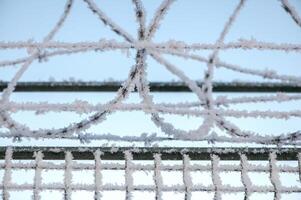 Barbed wire fence covered with frost winter time around closed area photo