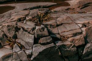 Rock formation showcasing cracks and vegetation along the riverbank during daylight photo