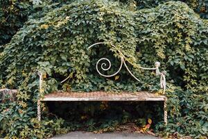 Overgrown bench surrounded by lush greenery in a tranquil outdoor setting photo