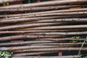 Natural wooden sticks arranged in a structured pattern against a dark background photo