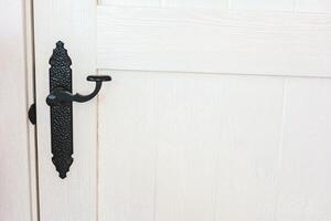 Door hardware features decorative black handle on a white wooden door in a bright interior setting photo