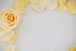 Yellow rose surrounded by delicate petals creates a soft and elegant floral arrangement photo