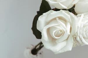 Elegant white roses in a simple vase on a neutral background photo