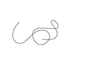 Doodle Animation on white background video