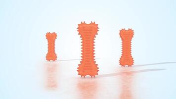 Chew Toys on a Light Reflective Floor. Orange Color Chew Toys 3D Animation. 4K video