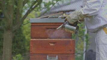 Beekeeper smoking beehive in apiary video