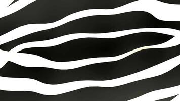 Black And White Background Animation With Wavy Lines video