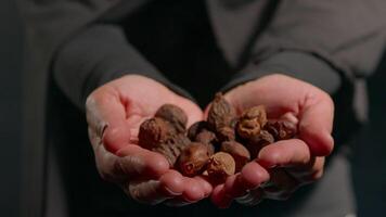 woman in hijab gently cradles variety of natural seeds in her hands. setting feels warm and inviting highlighting beauty of seeds and her connection nature video