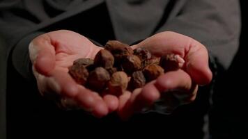 woman wearing hijab displays handful of argan nuts emphasizing her connection earth and importance of preserving natural beauty video