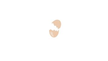 Broken eggshell halves on white background video
