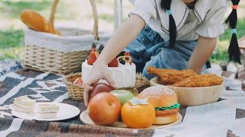 A girl is sitting on a picnic blanket with food video