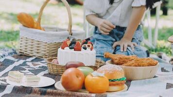 A girl sitting on a picnic blanket with a basket of food video