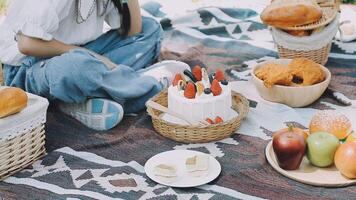 A woman sitting on a blanket with a picnic basket video
