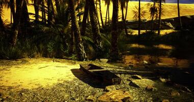 CGI Peaceful tropical scene, a boat on a sandy shore with palm trees video