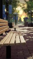 Realistic CGI quiet city park with trees and benches video