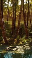 CGI Palm Trees in Sahara Desert video